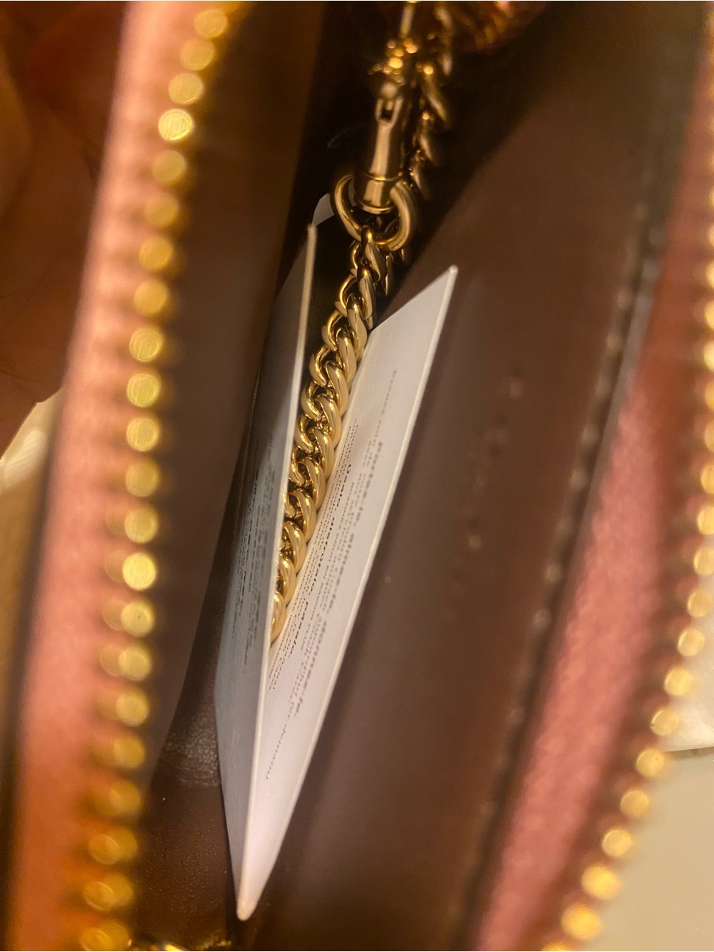Coach Multicolor Signature Python-Trim Chain Wristlet - Picture 6 of 9